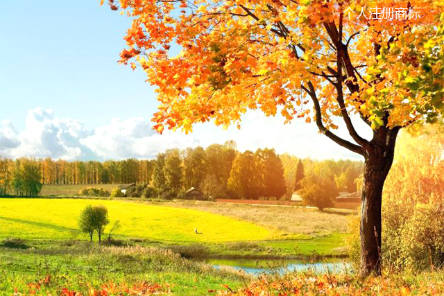 個(gè)人可以申請(qǐng)商標(biāo)注冊(cè)嗎?